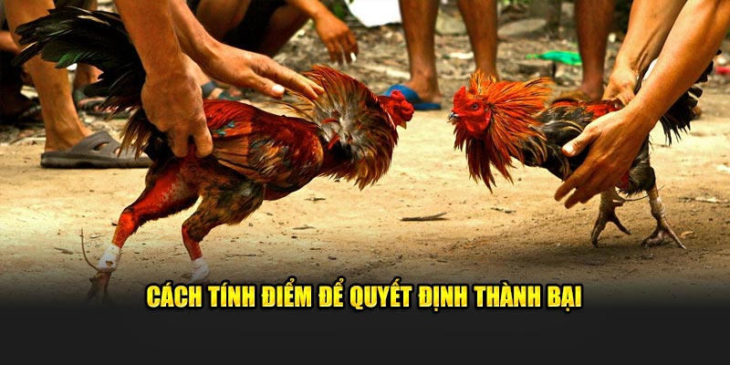 cach-tinh-diem-de-quyet-dinh-thanh-bai