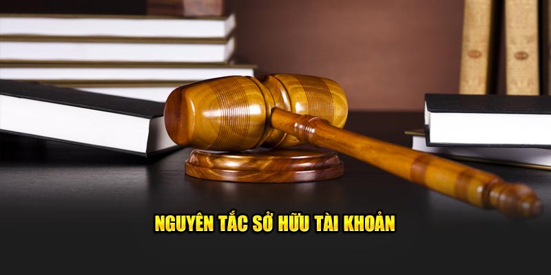 nguyen-tac-so-huu-tai-khoan