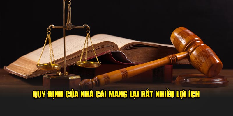 quy-dinh-cua-nha-cai-mang-lai-rat-nhieu-loi-ich