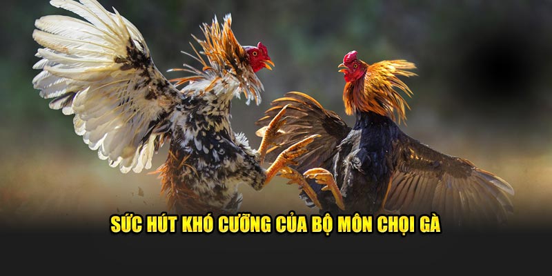 suc-hut-kho-cuong-cua-bo-mon-choi-ga