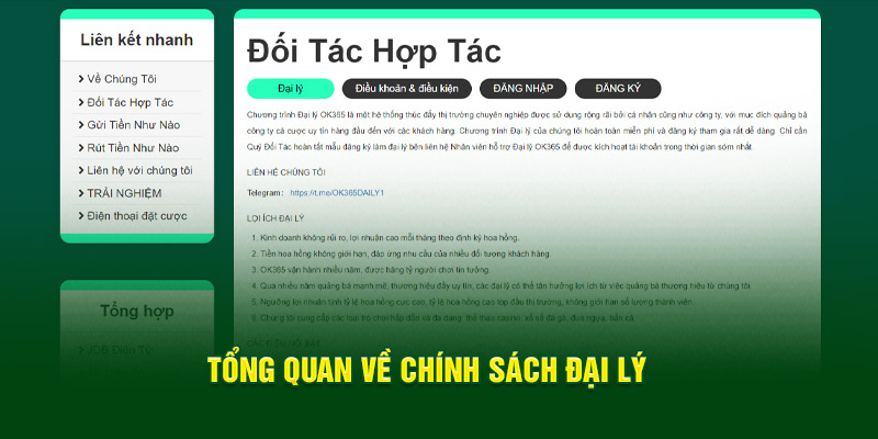 tong-quan-ve-chinh-sach-dai-ly